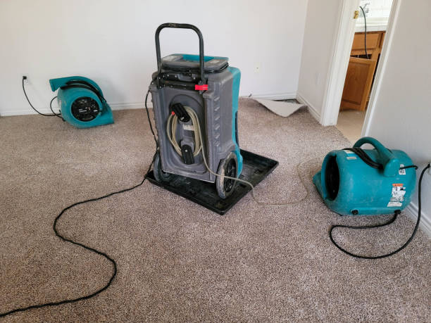 Best Water damage restoration near me  in Greencastle, PA