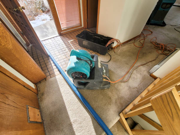 Best Carpet water damage restoration  in Greencastle, PA