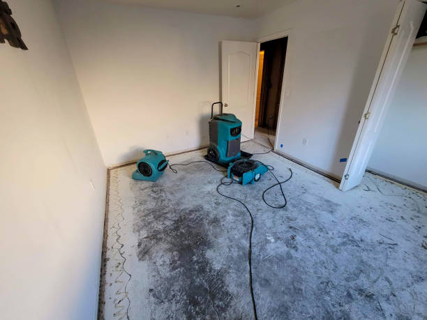 Best Flood restoration services  in Greencastle, PA