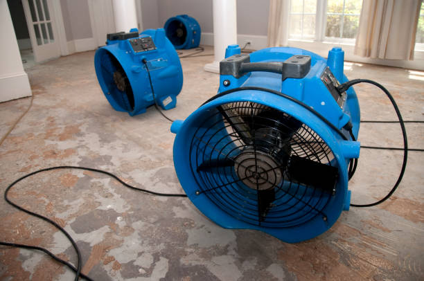 Best Flood damage cleanup  in Greencastle, PA
