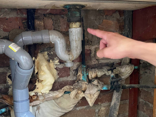 Best Water damage cleanup near me  in Greencastle, PA