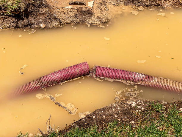 Best Mold removal after water damage  in Greencastle, PA